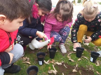 "Посади дърво" - ДГ Искра - Стамболийски